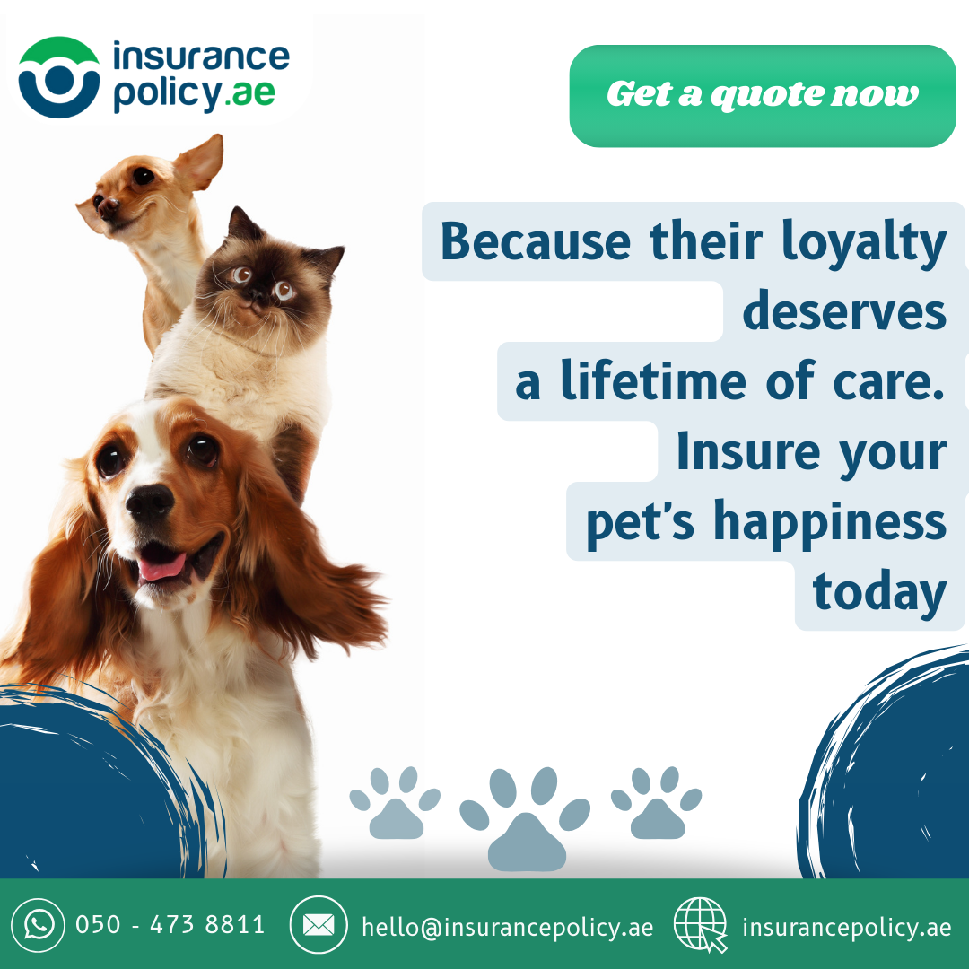 Get Pet Insurance from Insurancepolicy. at an affordable price